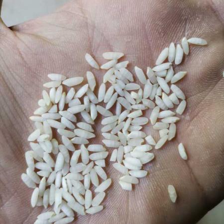 فروش فوق العاده برنج نیم دانه عطری درجه یک