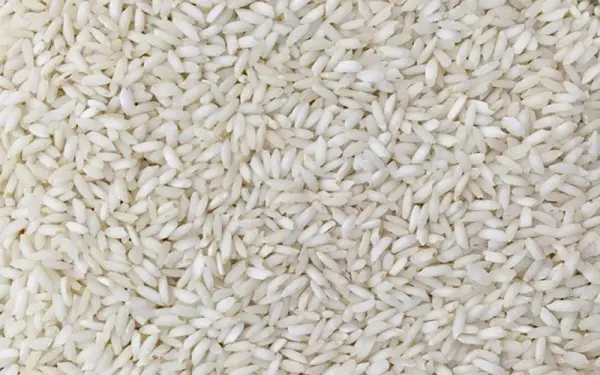 عوامل موثر بر قیمت برنج عنبربو