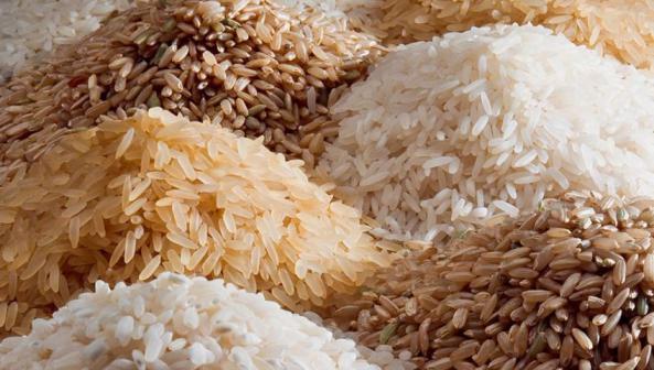 دسته بندی انواع برنج برای فروش
