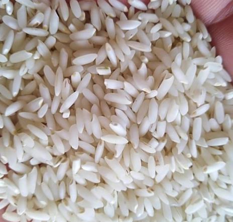 بررسی قیمت برنج بر اساس کیفیت آن
