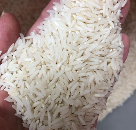 قیمت انواع برنج عنبربو موجود در کشور