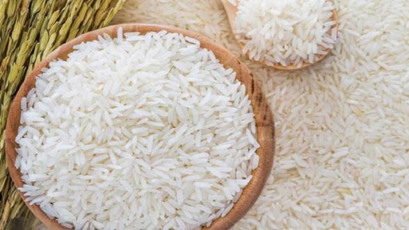 بررسی آمار صادرات برنج در سال گذشته