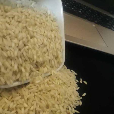 سفارش خرید برنج عنبربو فوق ممتاز از تولید کنننده