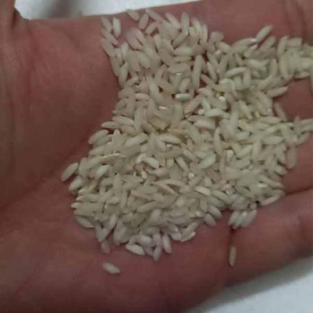 فروش فوق العاده برنج عنبر بو صادراتی در قم