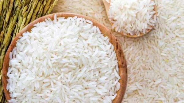 تولید کنندگان برنج نیم دانه درجه یک شمال