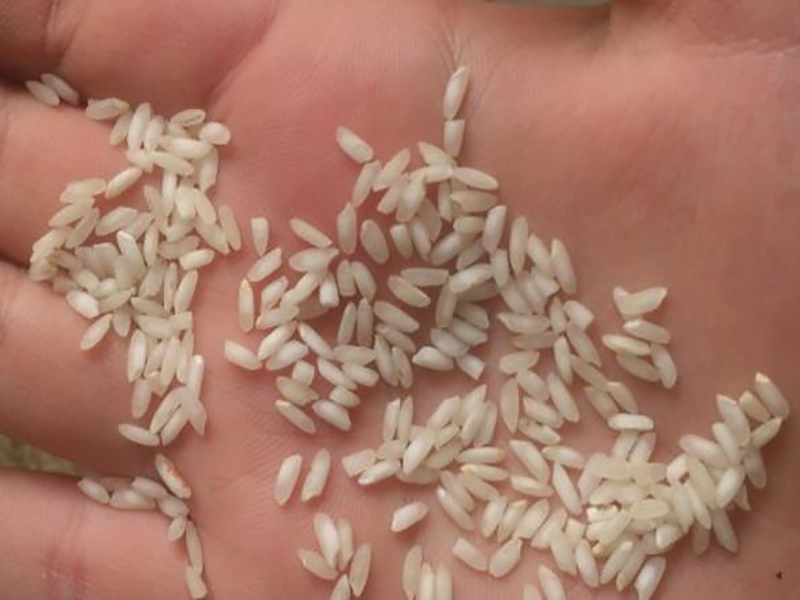 طبع برنج عنبر بو چیست