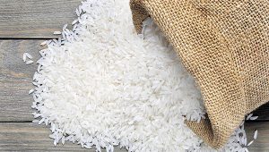 برنج کیسه معمولی شوشتر