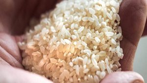 مصرف برنج تقلبی و مضرات آن