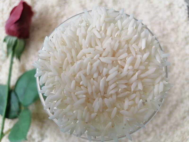 بهترین برنج ایرانی کدام است؟ فهرست مرغوب‌ترین برنج‌ ایرانی