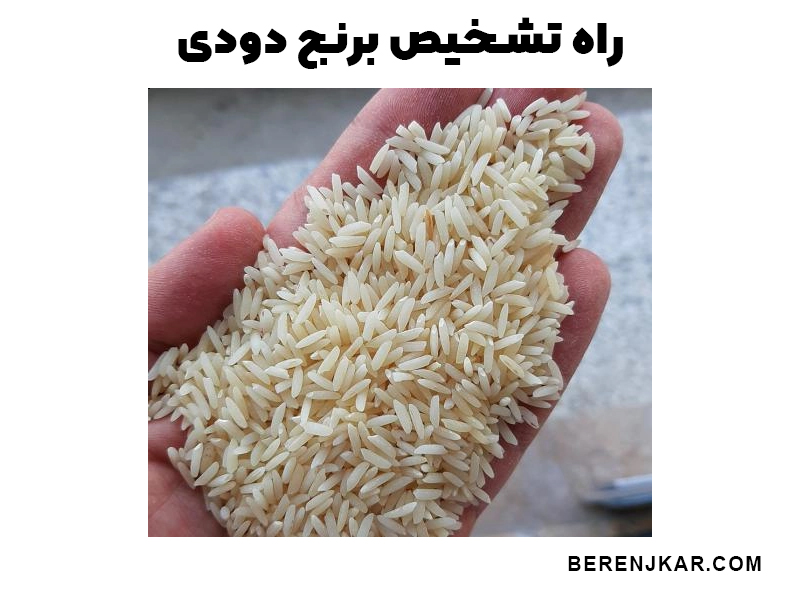 راه تشخیص برنج دودی