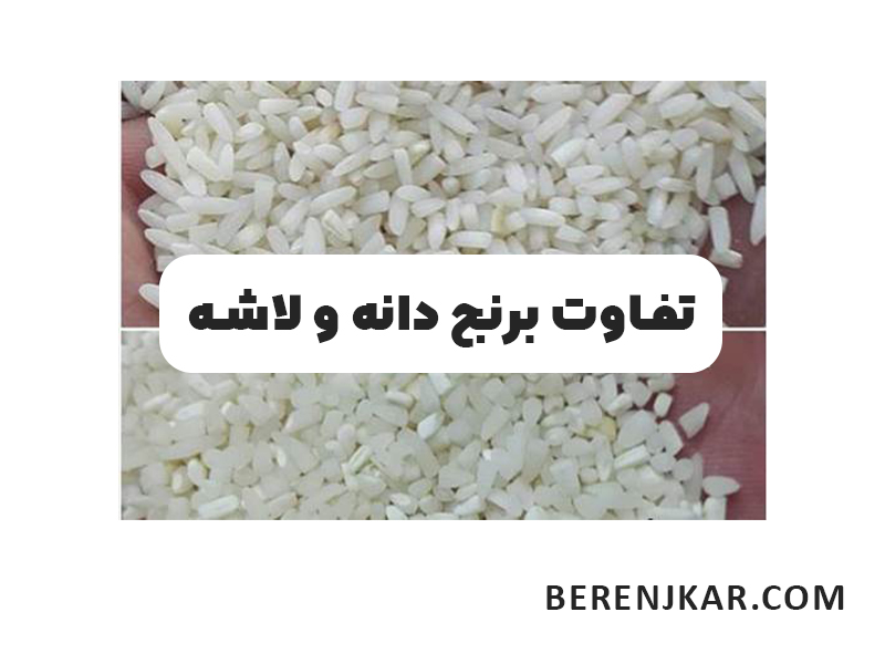 تفاوت برنج دانه و برنج لاشه