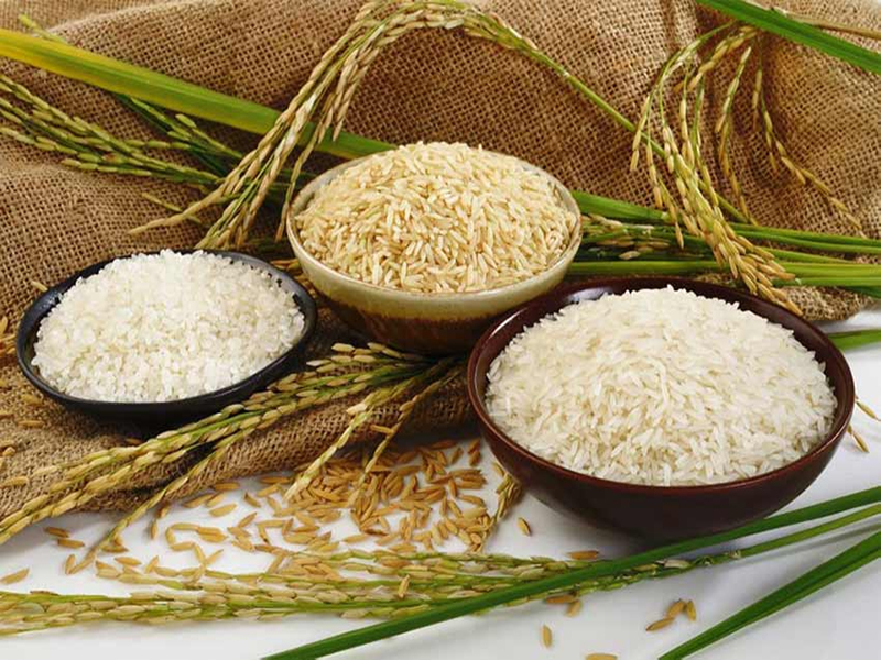 راهنمای کامل خرید برنج ایرانی