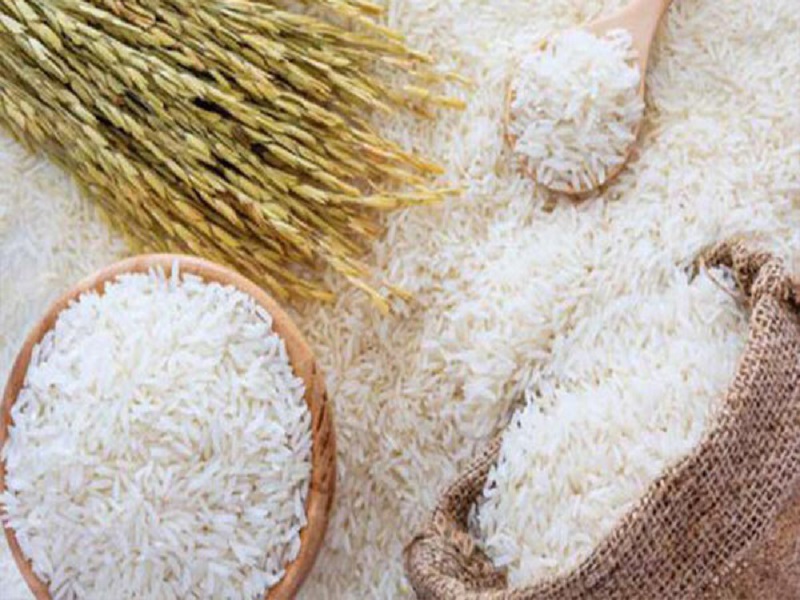 دلیل مخالفت با برنج تراریخته با وجود آزمایش‌های فراوان چیست