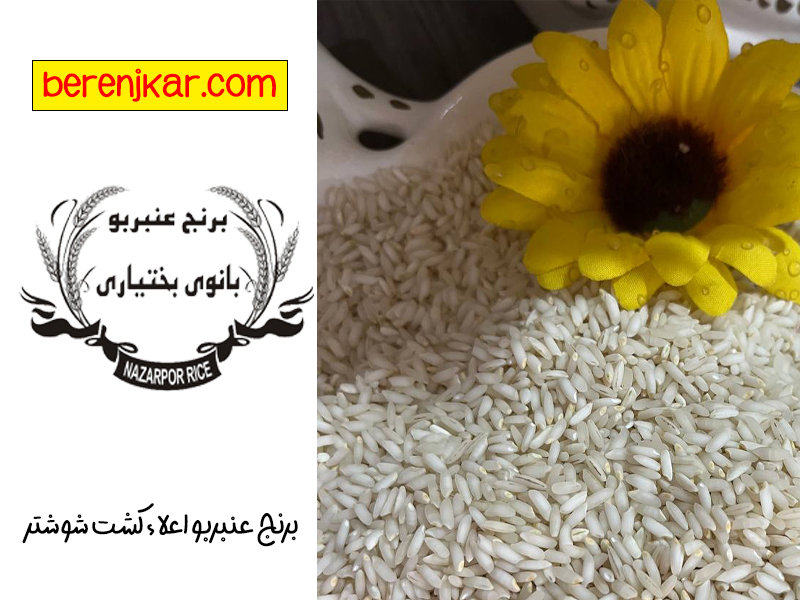 تهیه اش دوغ با خرید برنج عنبربو