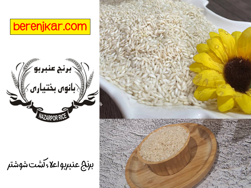 ترکیبات مغذی با برنج عنبربو بانوی بختیاری