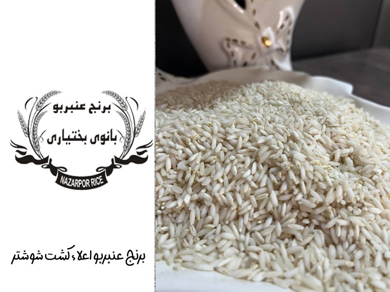 تهیه مصلح برنج با برنج عنبربو