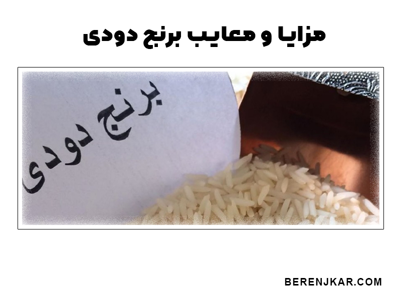 مزایا و معایب برنج دودی