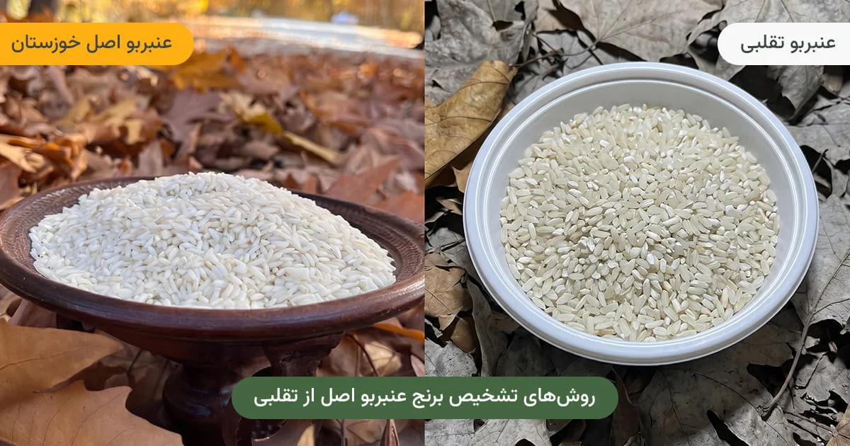 راهنمای تشخیص برنج عنبربو اصل از تقلبی — مقایسه تصویری با ابزارهای تشخیص