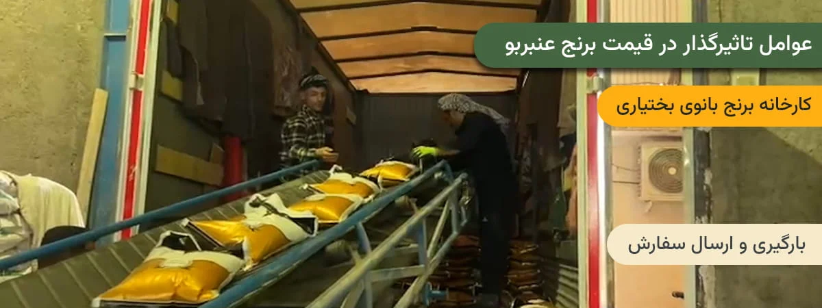 بارگیری و ارسال برنج عنبربو بانوی بختیاری