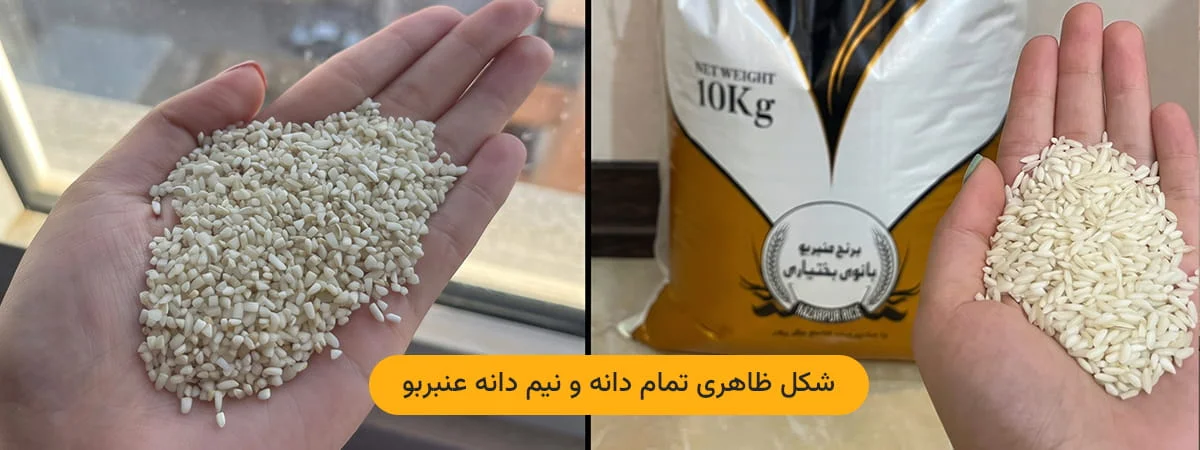 مقایسه شکل ظاهری برنج تمام دانه و نیم دانه عنبربو بانوی بختیاری