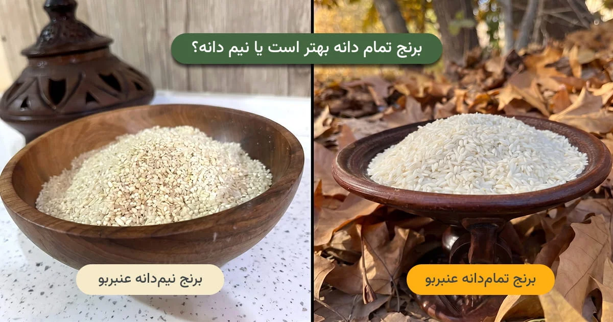 مقایسه برنج تمام‌دانه و نیم‌دانه عنبربو — دانه‌های کامل در برابر دانه‌های شکسته درشت
