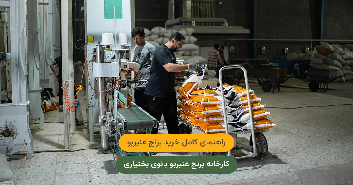 راهنمای کامل خرید برنج عنبربو — از ثبت سفارش تا دریافت