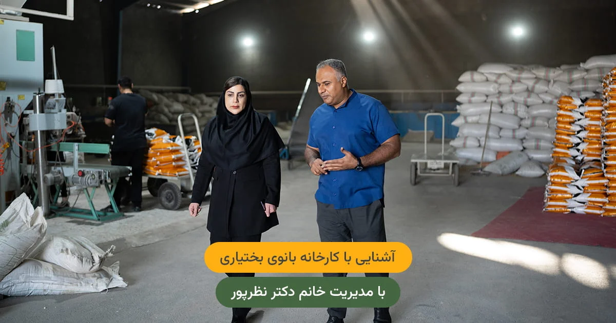 درباره برنج عنبربو بانوی بختیاری — از شالیزار تا سفره شما