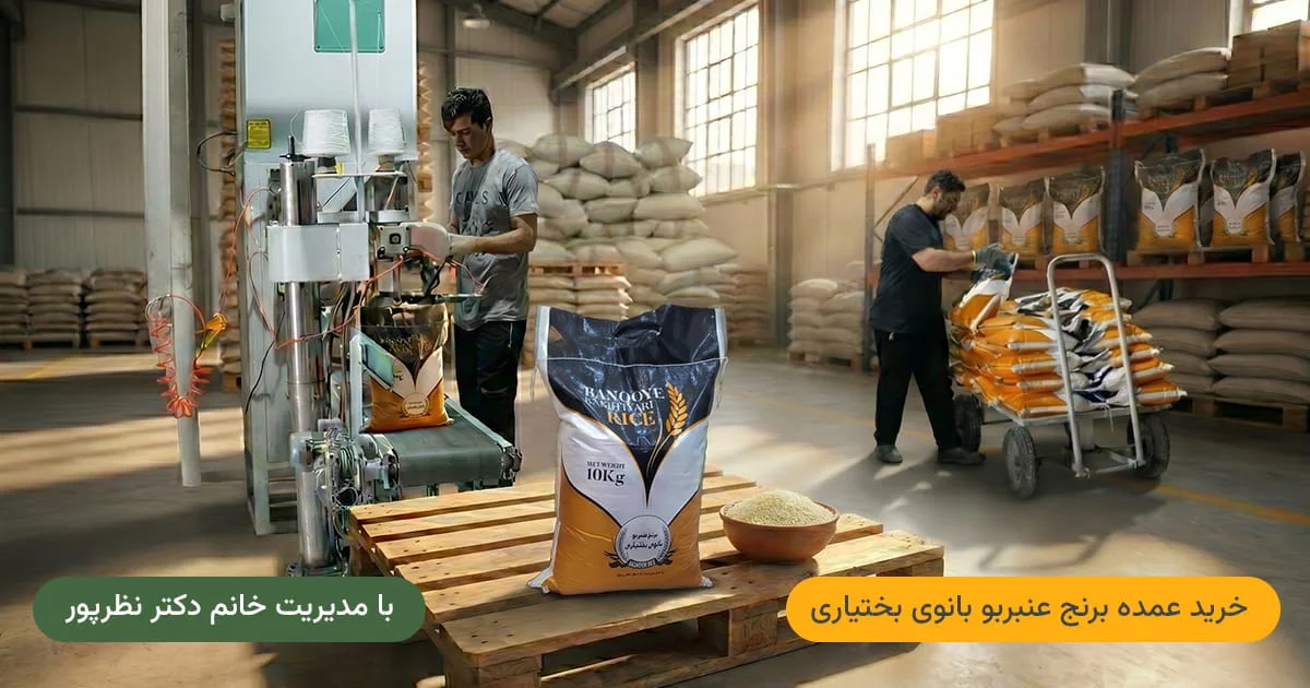 خرید عمده برنج عنبربو — مستقیم از کارخانه برای بنکداران