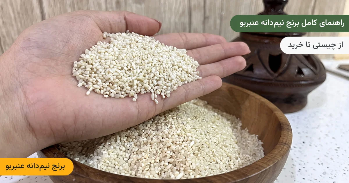 برنج نیمدانه عنبربو بانوی بختیاری | راهنمای کامل