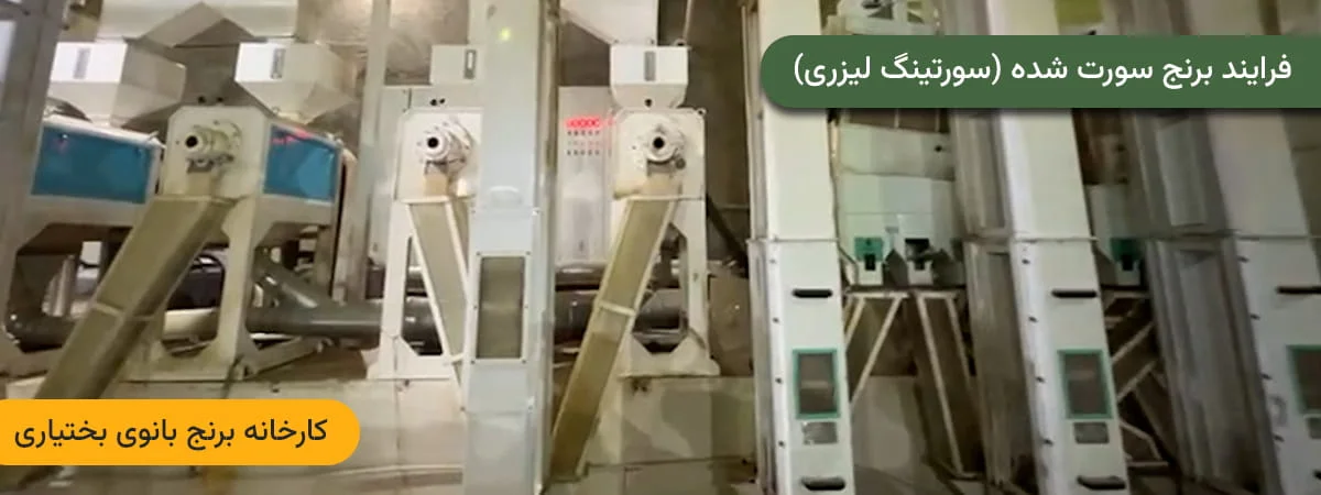 فرآیند برنج سورت شده (سورتینگ لیزری)