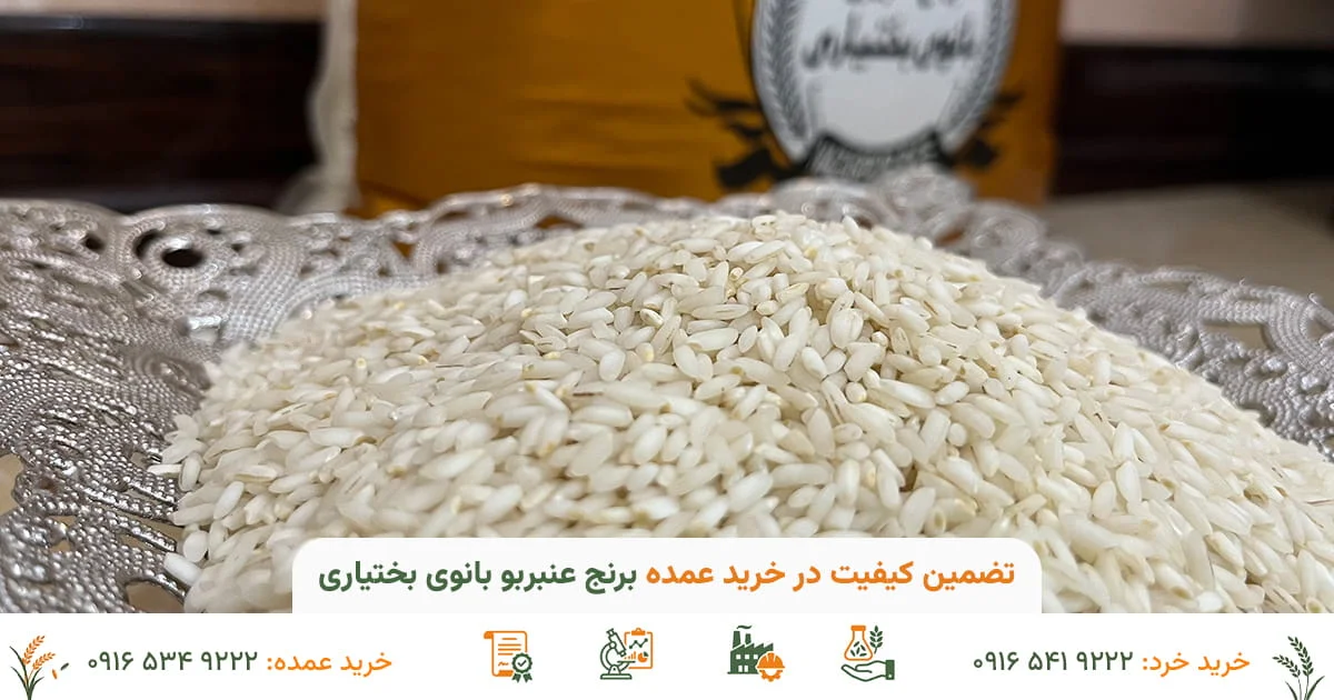 تضمین کیفیت در خرید عمده برنج عنبربو بانوی بختیاری