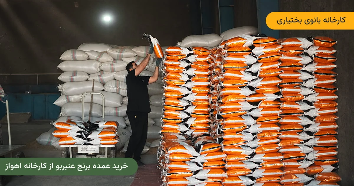 خرید عمده برنج عنبربو - کارخانه برنج عنبربو بانوی بختیاری