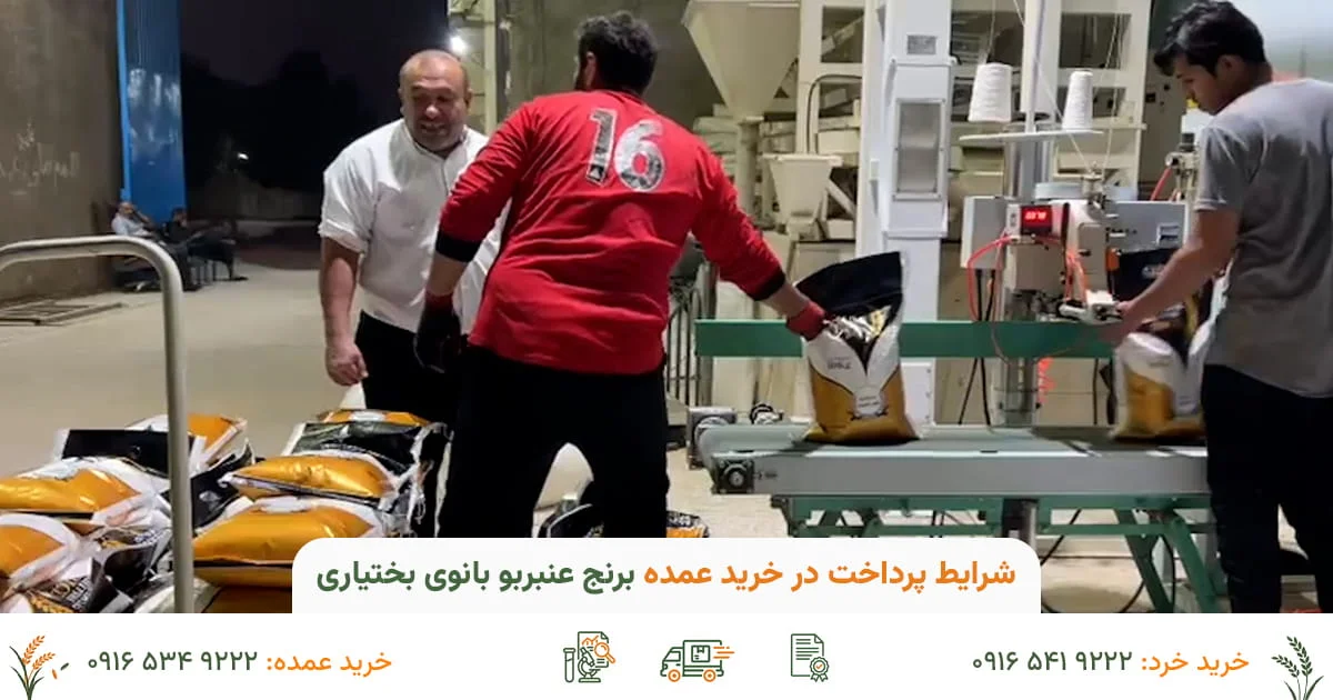 شرایط پرداخت در خرید عمده برنج عنبربو | نقدی، چک و ضمانت بازگشت وجه