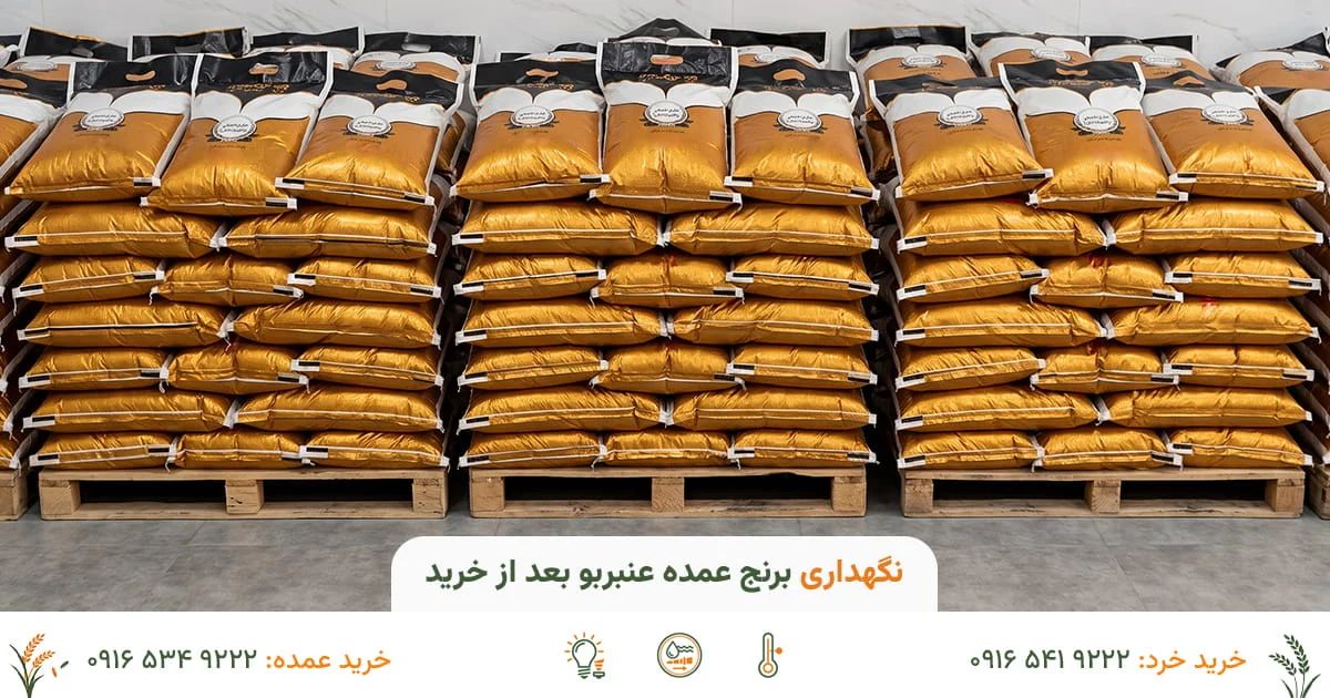 نگهداری برنج عمده عنبربو بعد از خرید - بانوی بختیاری