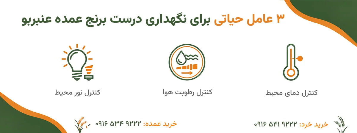 3 عامل مهم در نگهداری برنج عمده عنبربو بعد از خرید